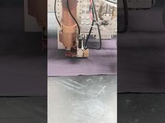 衣類,革,靴,帽子,スカーフ,その他の繊維製品のための宝石配送機